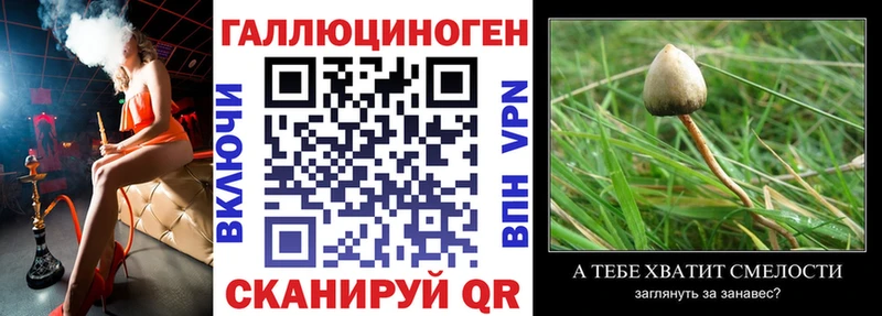 Галлюциногенные грибы мицелий  Купить  Беслан 