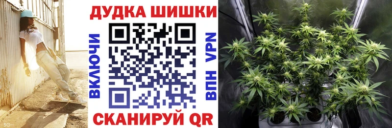Марихуана THC 21%  Купить где  Беслан 